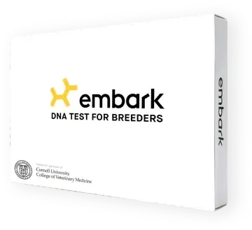 Embark health test for Bolonka dog