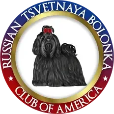 Russian Bolonka Dog Club